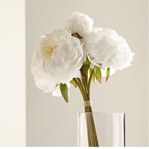 Meet your Posher, Roshni